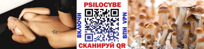 Галлюциногенные грибы ЛСД Заполярный
