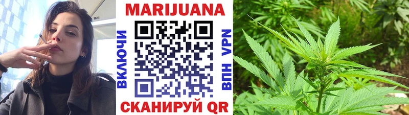 Каннабис гибрид  Купить где  Заполярный 